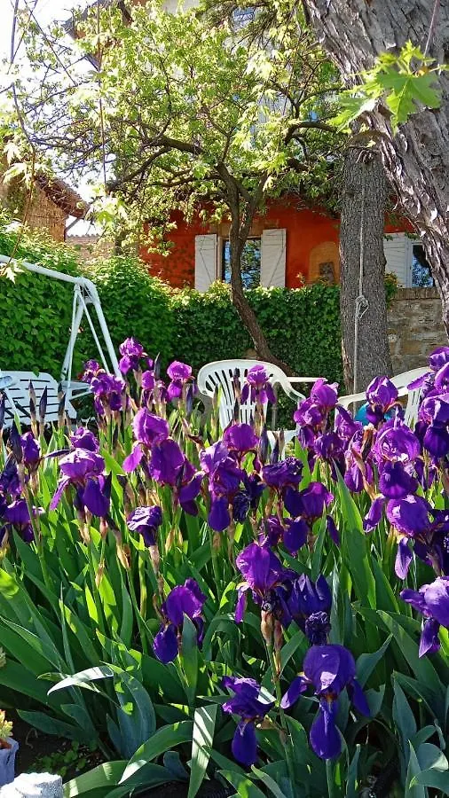 Luca House Apartment Montalbo Italy