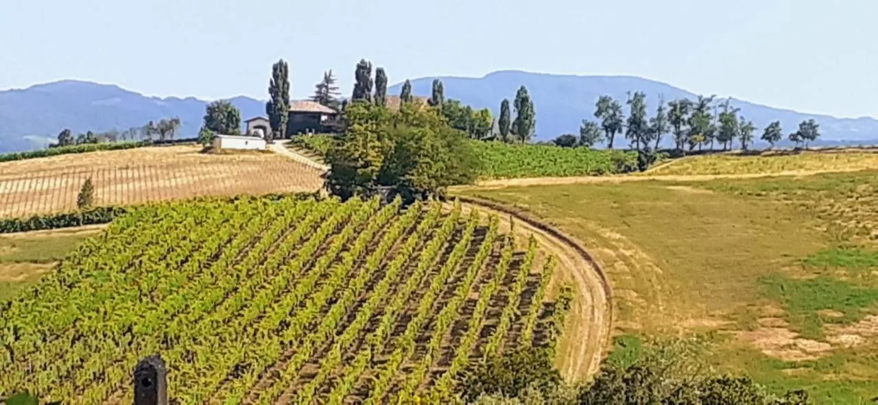 Luca House Apartment Montalbo